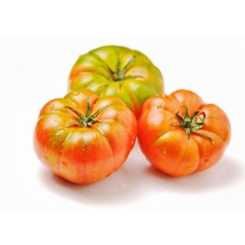 Tomates anciennes bio