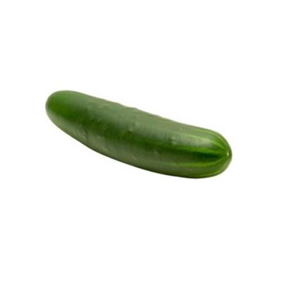 Concombre bio