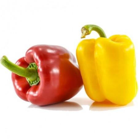 Poivron rouge/jaune BIO