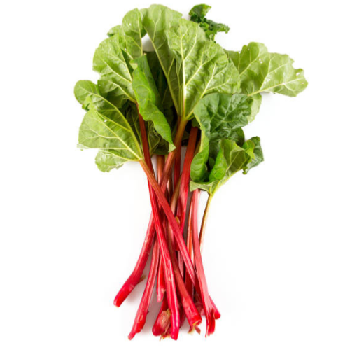 Rhubarbe 