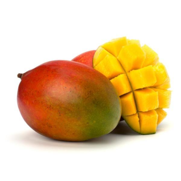Mangue bio
