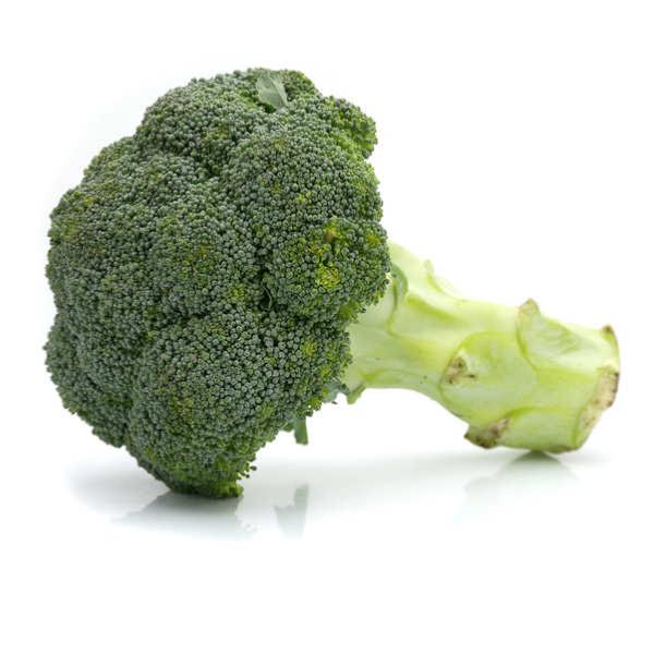 Brocoli BIO