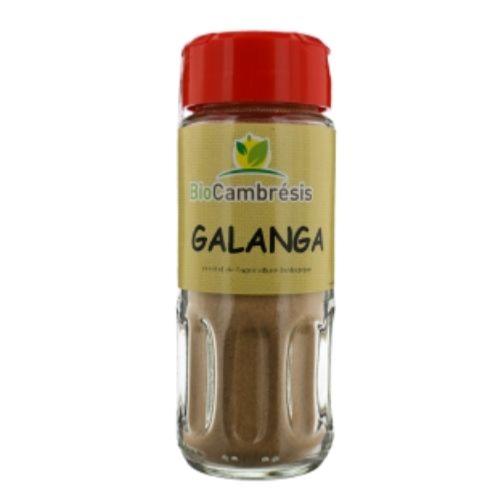 Galanga - 30 grammes