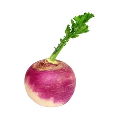 Navet couleur bio