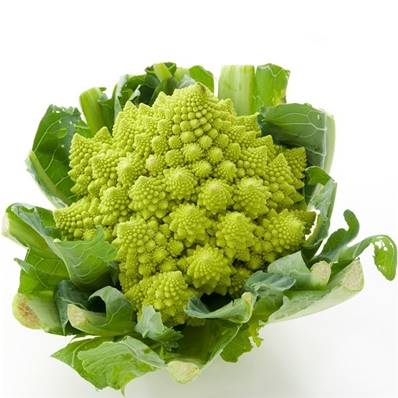 Chou romanesco bio