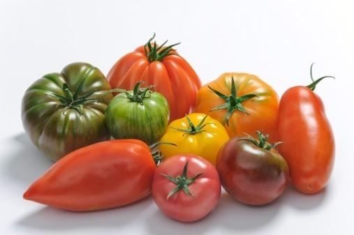 Tomate ancienne BIO kg