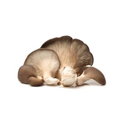 Champignon pleurote bio - 500g