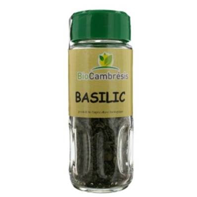 Basilic - 7g