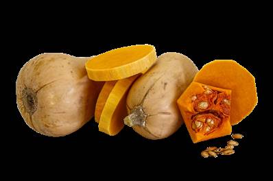 Courge bio