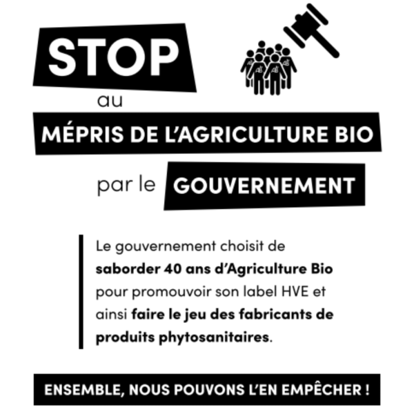 Magasin Bio Lille et Lgumes de saison bio