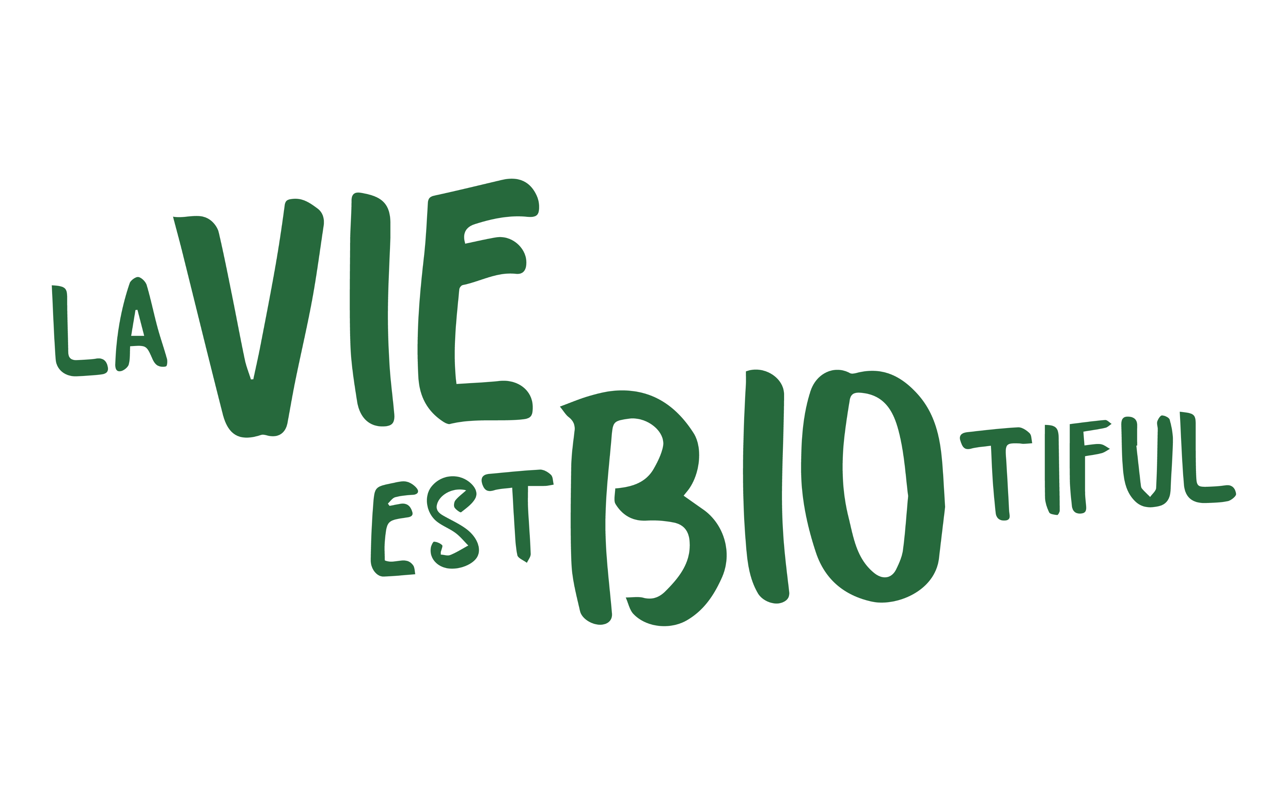 Épicerie Bio à Lille